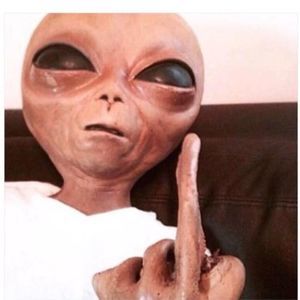 Meet your Posher, Nicolas